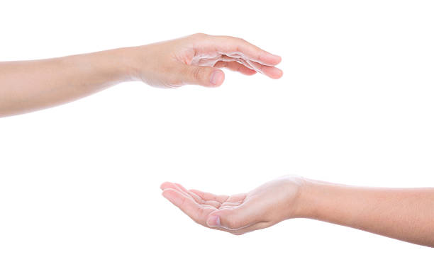 istock Two woman hands isolated on white background 187728600