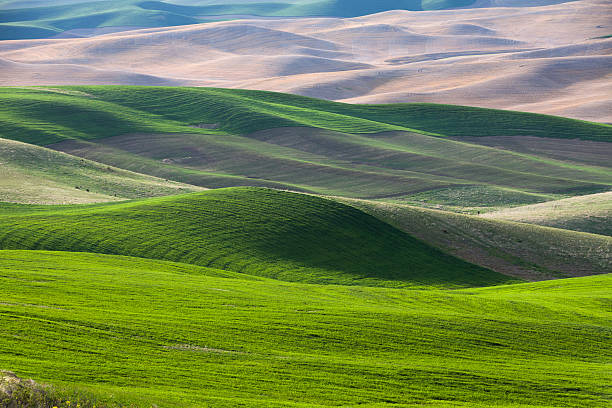 istock rolling hill and Farm Land 187728803