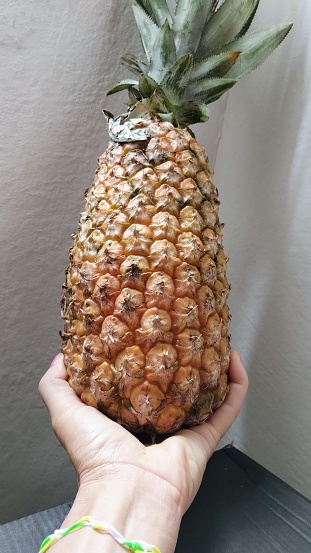Hand holding a pineapple