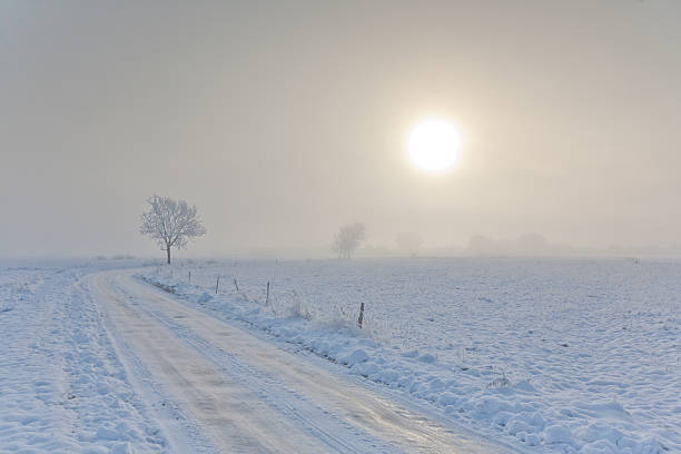 istock Winter landscape with trees snow wrapped and road 187729350