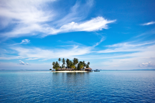 Paraíso Tropical Palm Tree islas San Blas photo