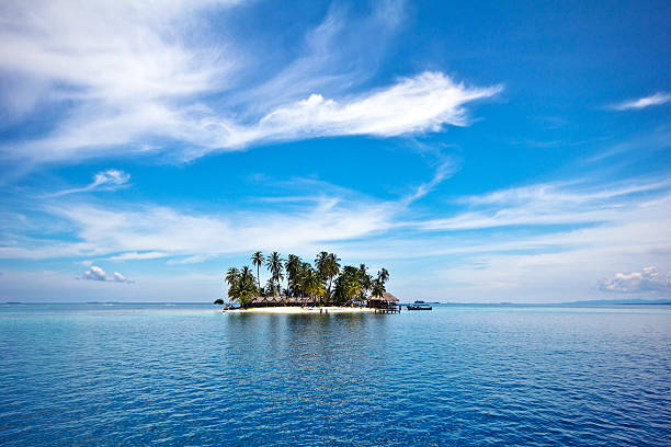 istock Tropical Palm Tree Paradise San Blas Islands 187729545