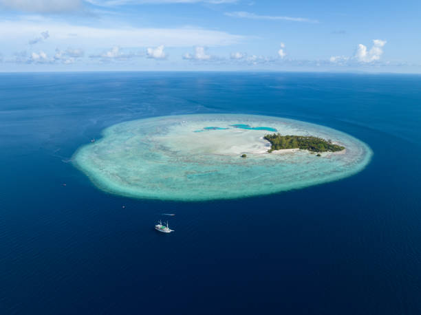 vue aérienne de l’île tropicale idyllique et du récif environnant - archipel raja ampat photos et images de collection