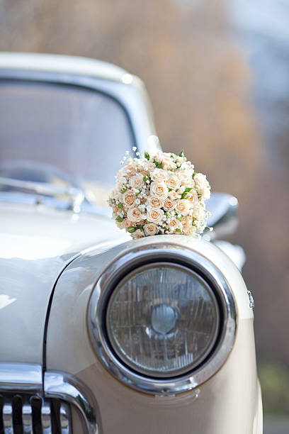 istock White roses on a white vintage car 187729759
