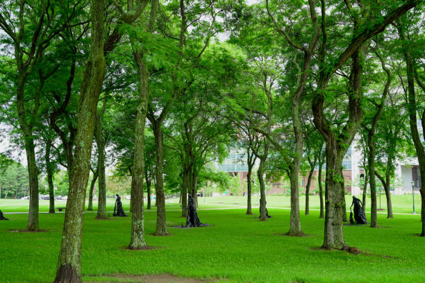 Burlington, USA, Vermont, USA -July 27, 2023: the campus of University of Vermont , a public university that is the oldest in Vermont.