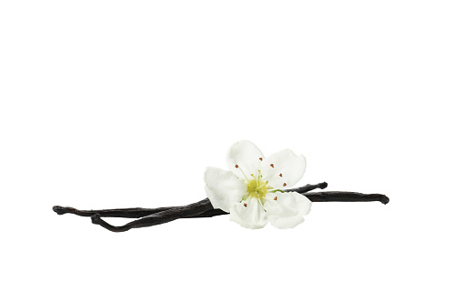 PNG,vanilla pod with a flower, isolated on white background