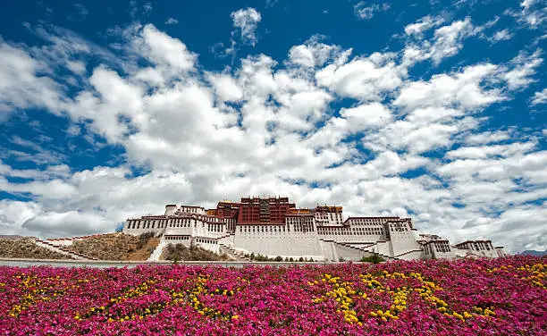 Potala palace in Tibet with flowers foreground (front view)