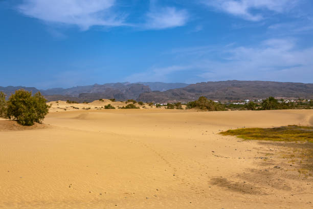 The Beautiful Dunes Of Maspalomas With Maspalomas And The Central Mountain Massif In The Background