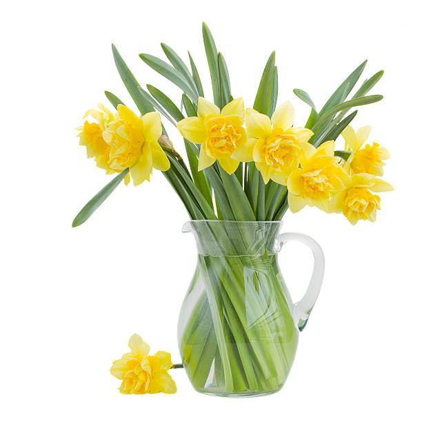 istock bouquet of blooming  daffodils 187736068