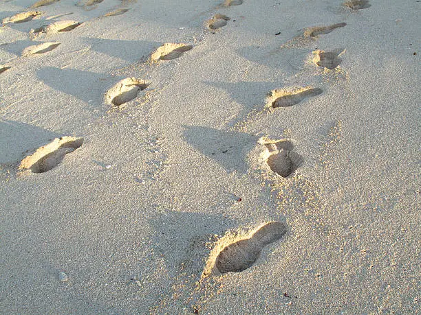 Beachwalk - footsteps in the sand an early morning