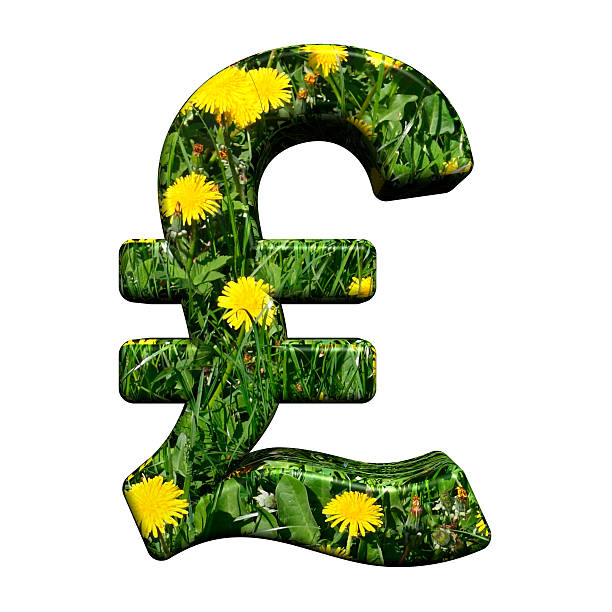 pound symbol von floral alphabet set - pound symbol environment grass currency stock-fotos und bilder