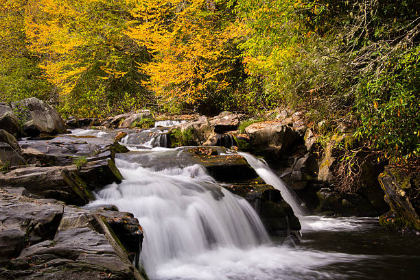 puissant cascade sur la nantahala river - rapid appalachian mountains autumn water photos et images de collection