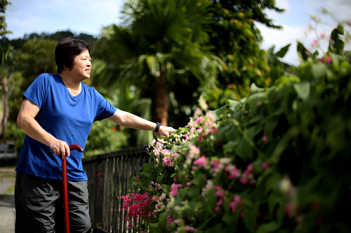 An Asian woman is enjoying flower in garden