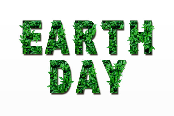Leaf font isolated on white green gradient background. Leafs font made of Real alive leaves with Previous paper cut shape of font for letters and words.