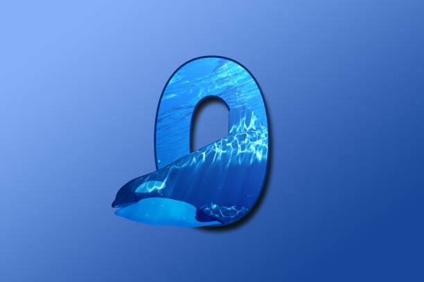 The letter O is embedded with a picture of the animal Orca. Great animal background. stock photo