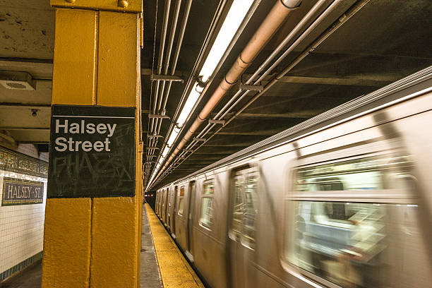 istock Halsey street NYC subway station 187740546