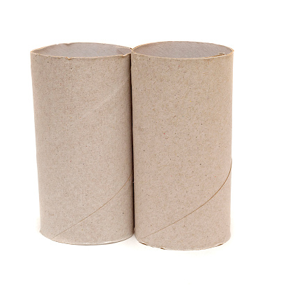 Two grey empty toilet rolls isolated on white background.