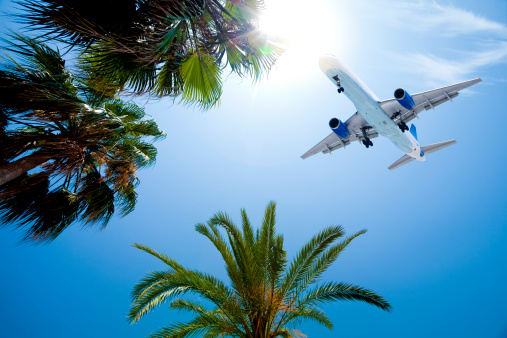 Airliner passing over tropic palm trees. Adobe RGB.