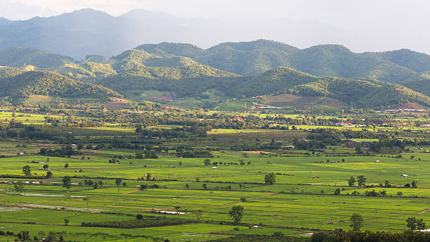 istock The rice field at Chiang Mai , Thailand (Bong Piang Village) 187741901