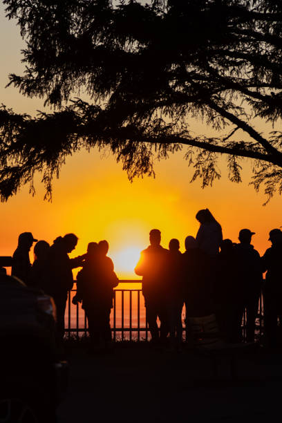 istock People watching the sunset along the beach 1877449675