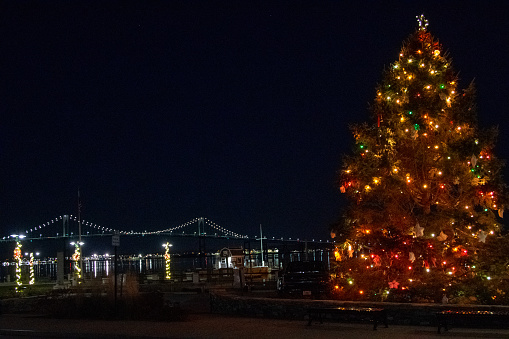 Jamestown Christmas Tree with Newport Bridge in the Background