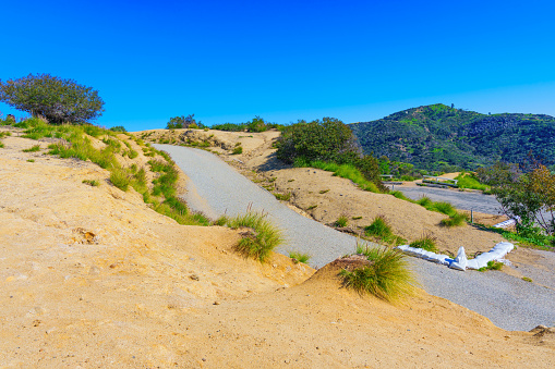 Scenic section of the Hollywood Sign hiking trail, surrounded by nature and hinting at the adventure that awaits.