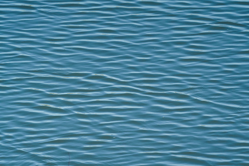 water waves, waves created by a bird diving into the water