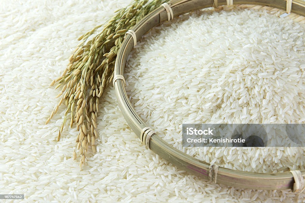 Rice grain Close-up image of paddy and rice grain Agriculture Stock Photo