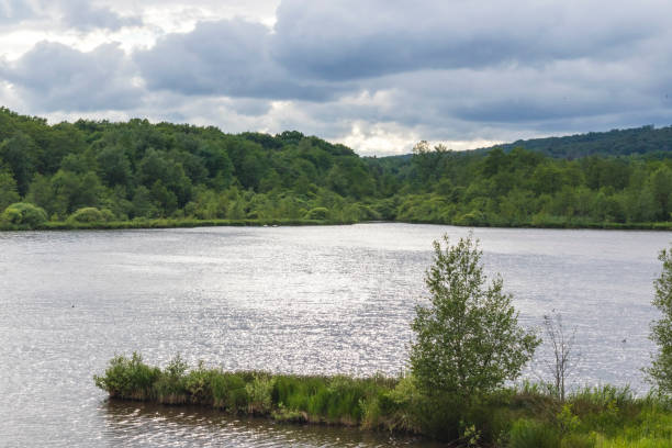 istock The sky is overcast over the lake 1877483200