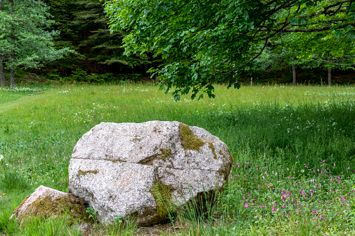 Une morceau de montagne qui est tombé à l'entrée d'une forêt en Alsace