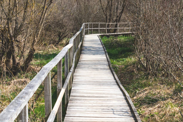 istock Walk in the Belgian Ardennes 1877486786