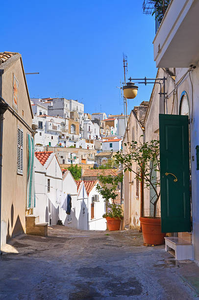 istock Alleyway. Pisticci. Basilicata. Italy. 187753095