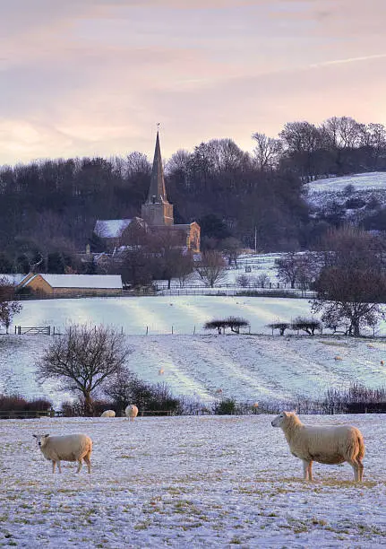 Photo of Rural Cotswolds in winter