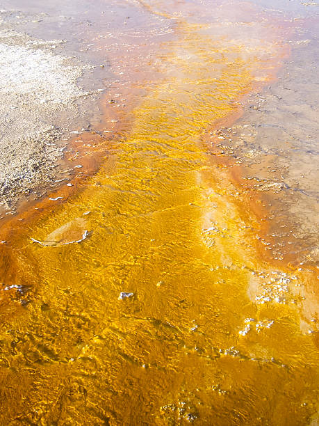 istock Golden Geothermal Pool Yellowstone Park 187755672