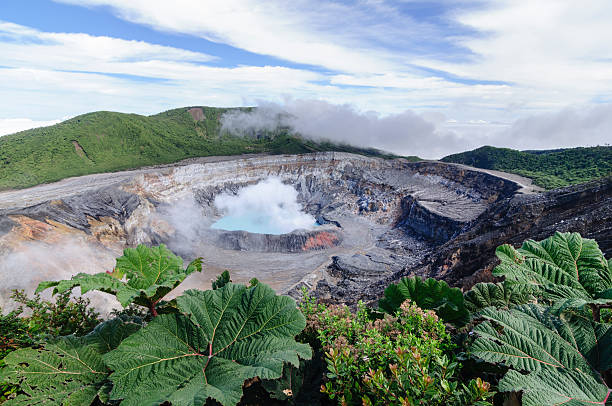 ポアス火山クレーター、コスタリカ - gunnera ストックフォトと画像
