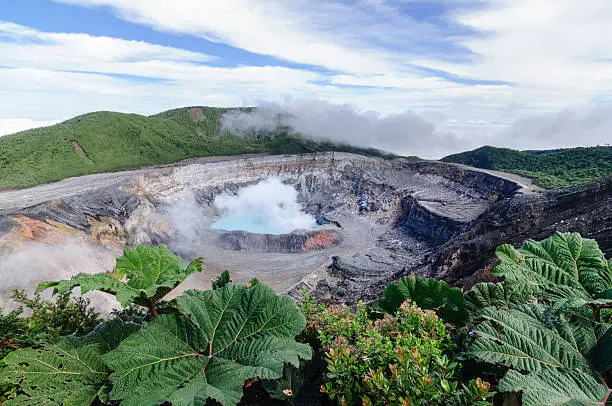 Poas Volcano crater, Costa Rica with huge Gunnera plant leaves in the foreground.