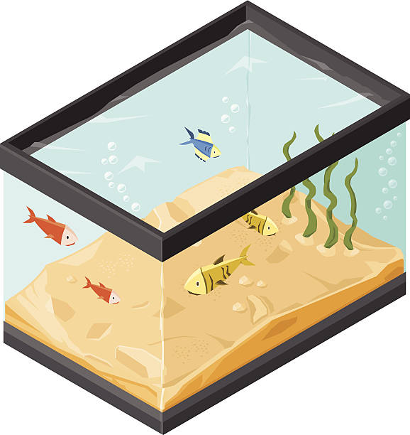 ilustraciones, imágenes clip art, dibujos animados e iconos de stock de acuario con peces tropicales de tanque - animals and pets isolated objects sea life