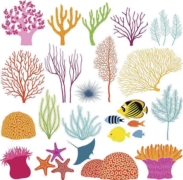 Underwater design elements Set of colorful underwater design elements cnidarian stock illustrations
