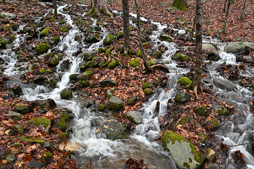 Meandering stream in rainstorm on a rocky New England hillside, autumn