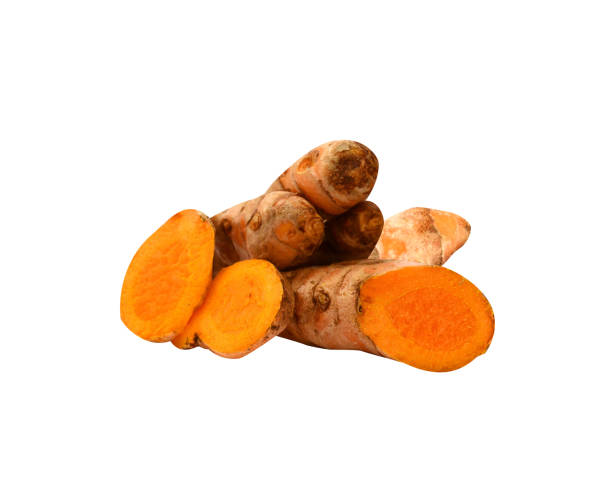 istock Turmeric, Curcuma longa, Curcuma or Curcuma domestica Valeton 1877651010