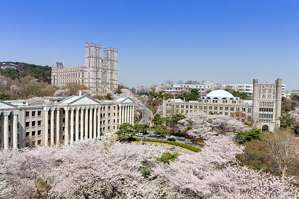 Kyung Hee University, Seoul, Korea Kyung Hee University is a one of the most famous university in Korea. It is comprehensive and private. There are very beautiful cherry blossoms in the campus during spring season. aerial view of seoul south korea capital city stock pictures, royalty-free photos & images