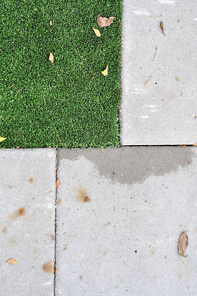 istock Decor Plant on floor ground 187771149