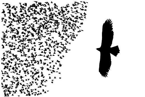 Abstract composition of flying birds.