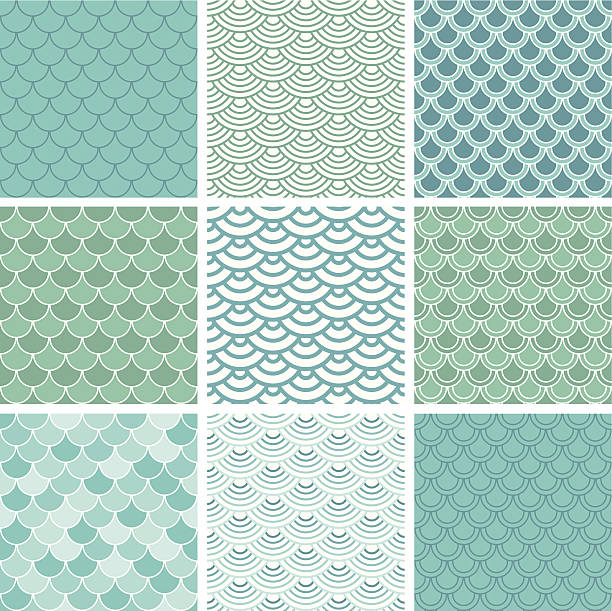 illustrazioni stock, clip art, cartoni animati e icone di tendenza di scala pesce seamless pattern set di - pelle squamosa