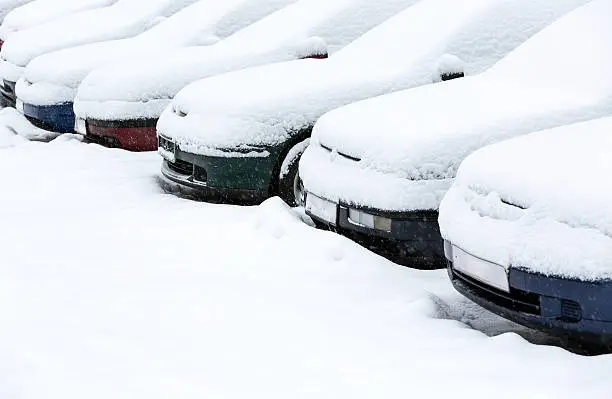 Photo of Multiple cars covered in fluffy snow