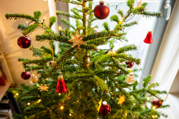 istock Decorated Christmas tree in an apartment 1877746594