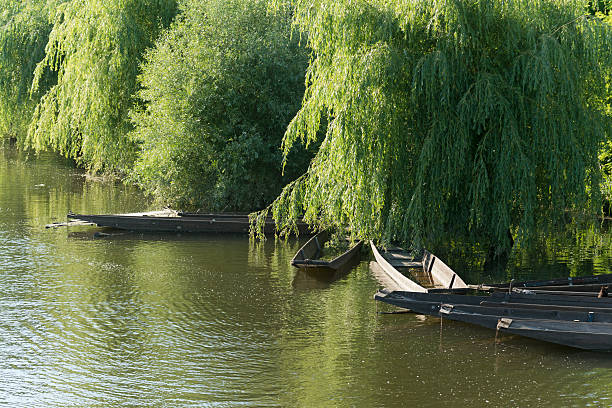 istock Boats at the shore 187781450