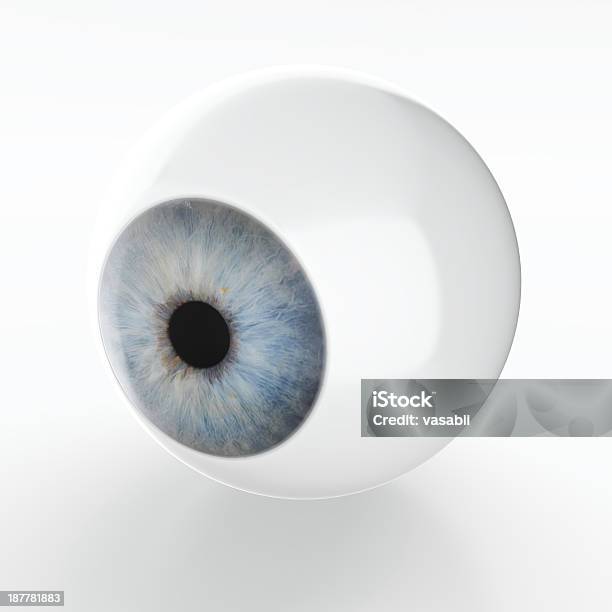 Just An Eye Stock Photo - Download Image Now - Abstract, Anatomy, Animal