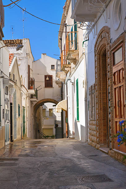 istock Alleyway. Pisticci. Basilicata. Italy. 187782594