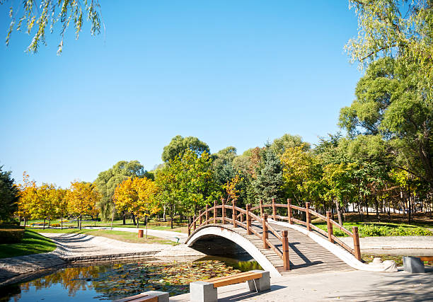 istock Sun Island Park in autumn 187782948